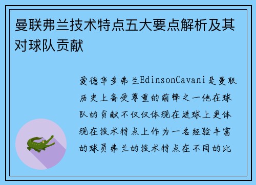 曼联弗兰技术特点五大要点解析及其对球队贡献